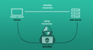 Catered Cyber Attacks and classification of multiple Cyber attacks